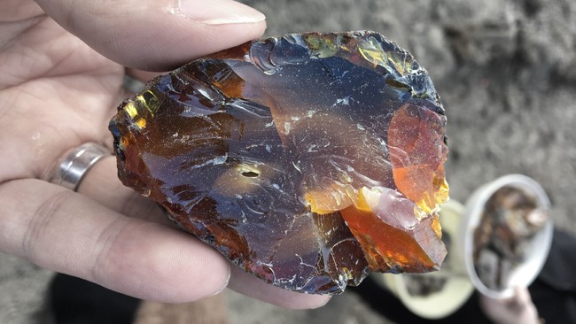 アガット】久慈の琥珀の温もりある新作ジュエリー発売 | 株式会社