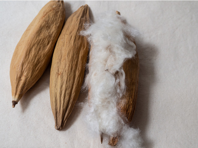 超軽量天然繊維×ミリタリー】CONFECT(コンフェクト) の「カポック