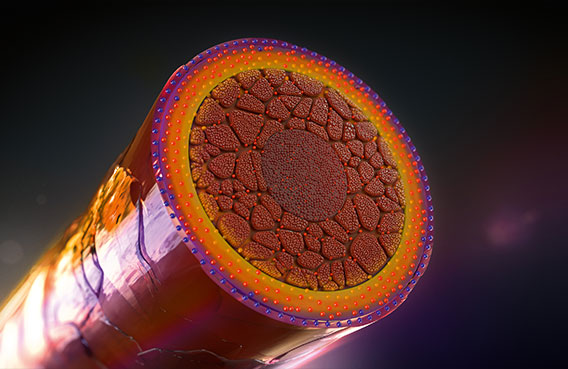 次世代型の新染料“レインボー染料”により、新しい色表現を可能にする