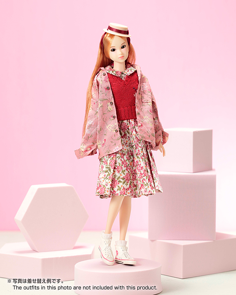 Today's momoko 2512 - PetWORKs Store