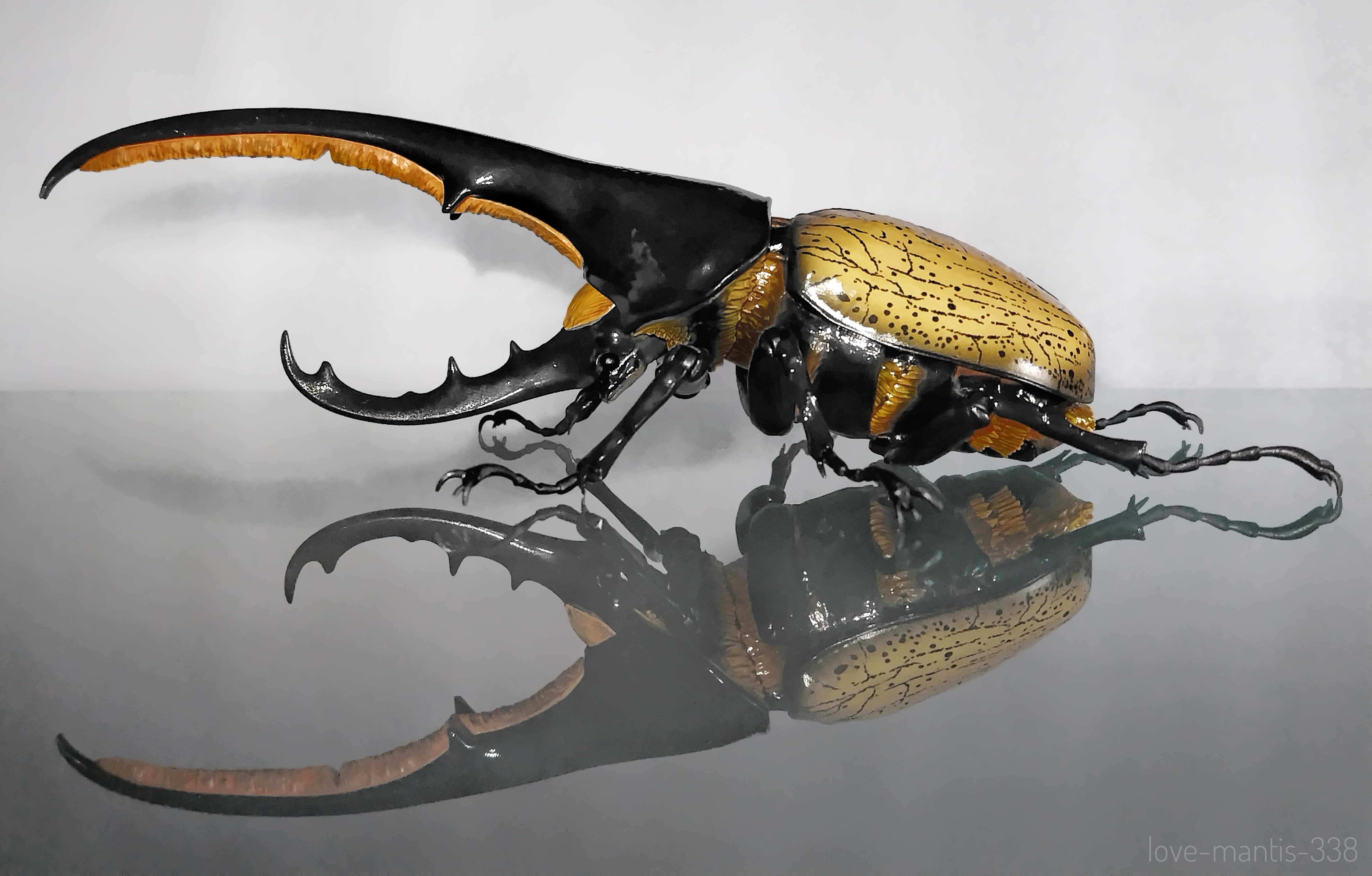 いきもの大図鑑シリーズ3つ (カプセルトイ) - ✦ むし ぶろぐ ✦