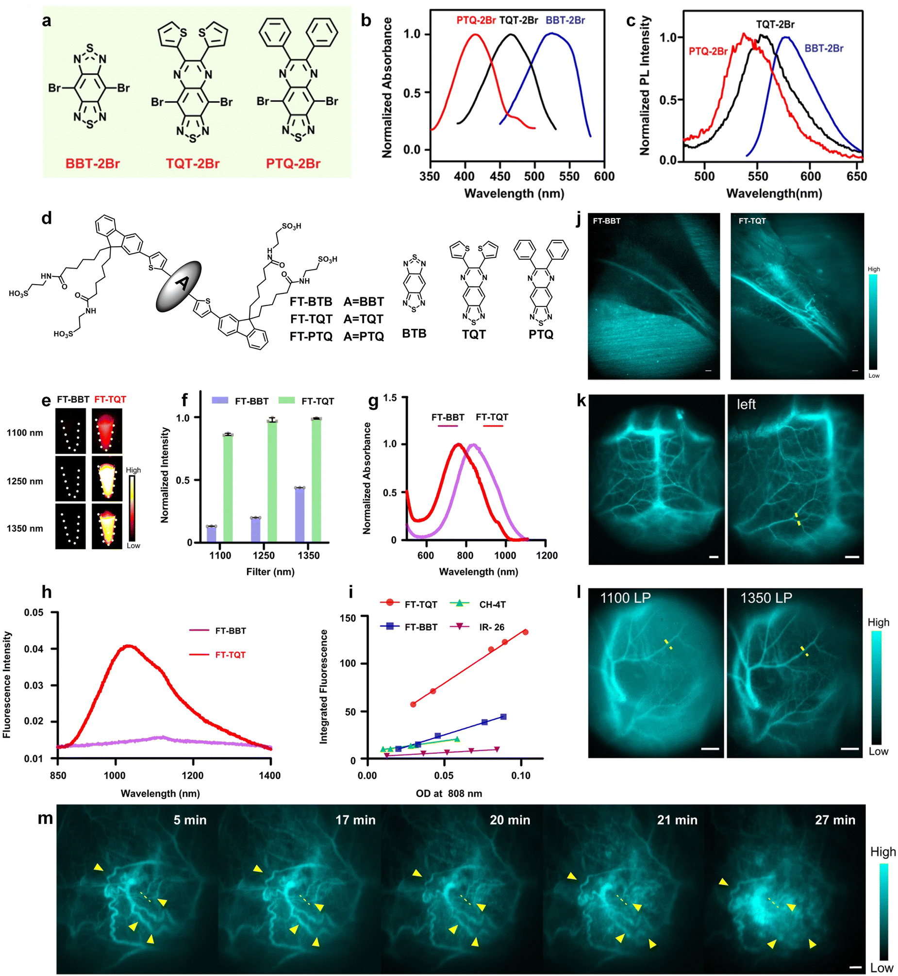 Construction and optimization of organic fluorophores in NIR-II