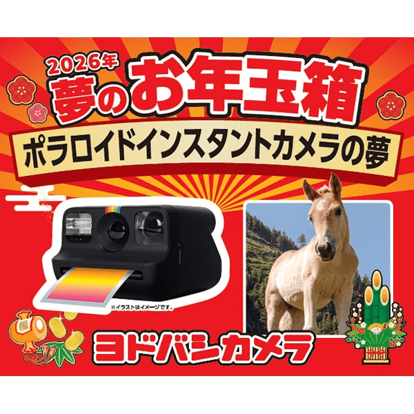 ヨドバシお年玉箱ポラロイドカメラの夢2026！｜波多波多 ヨドバシ