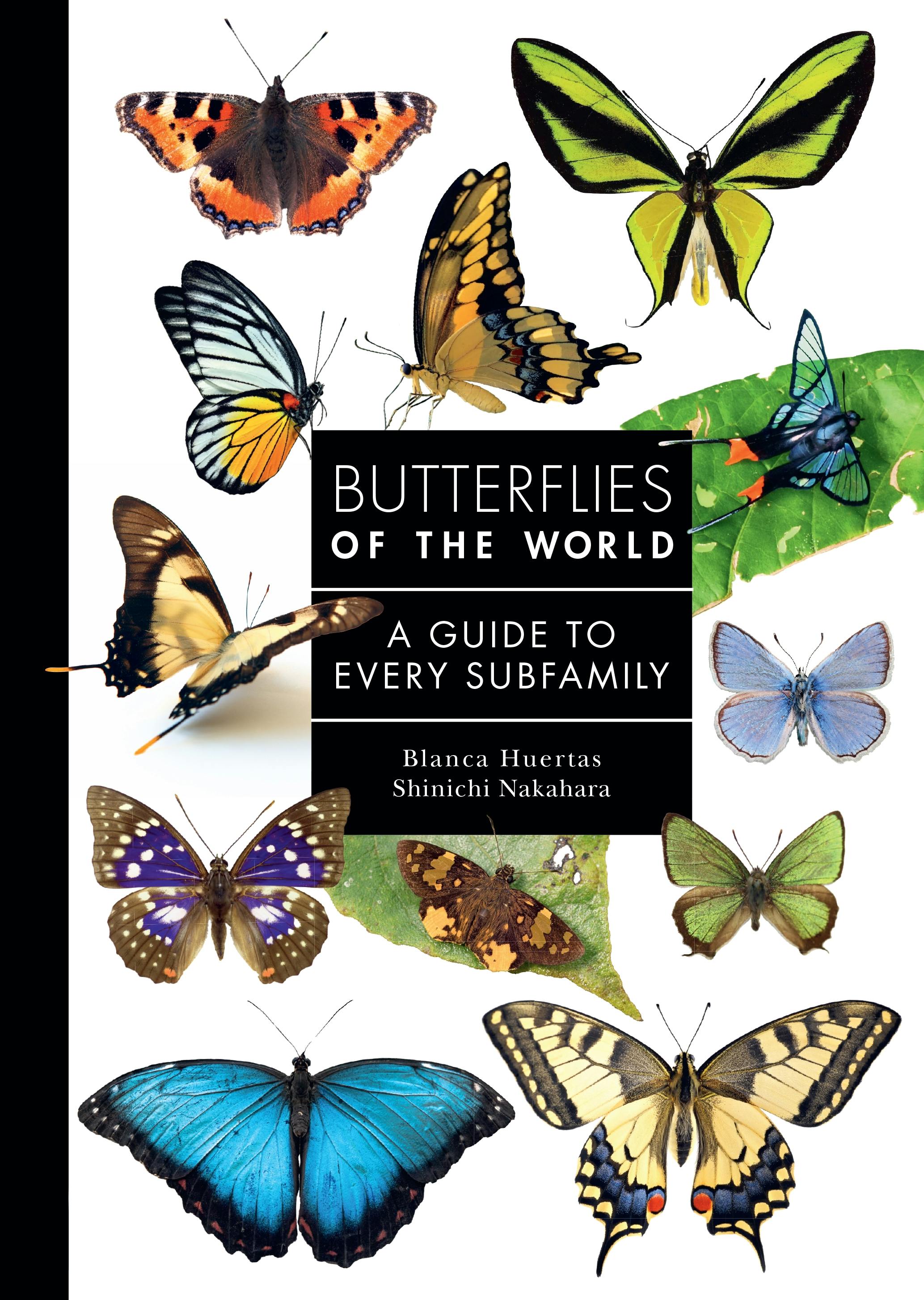 Butterflies of the World | Princeton University Press