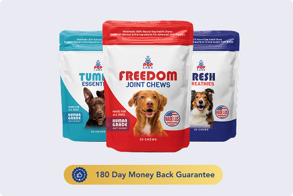 360 Support Bundle – Pup Labs