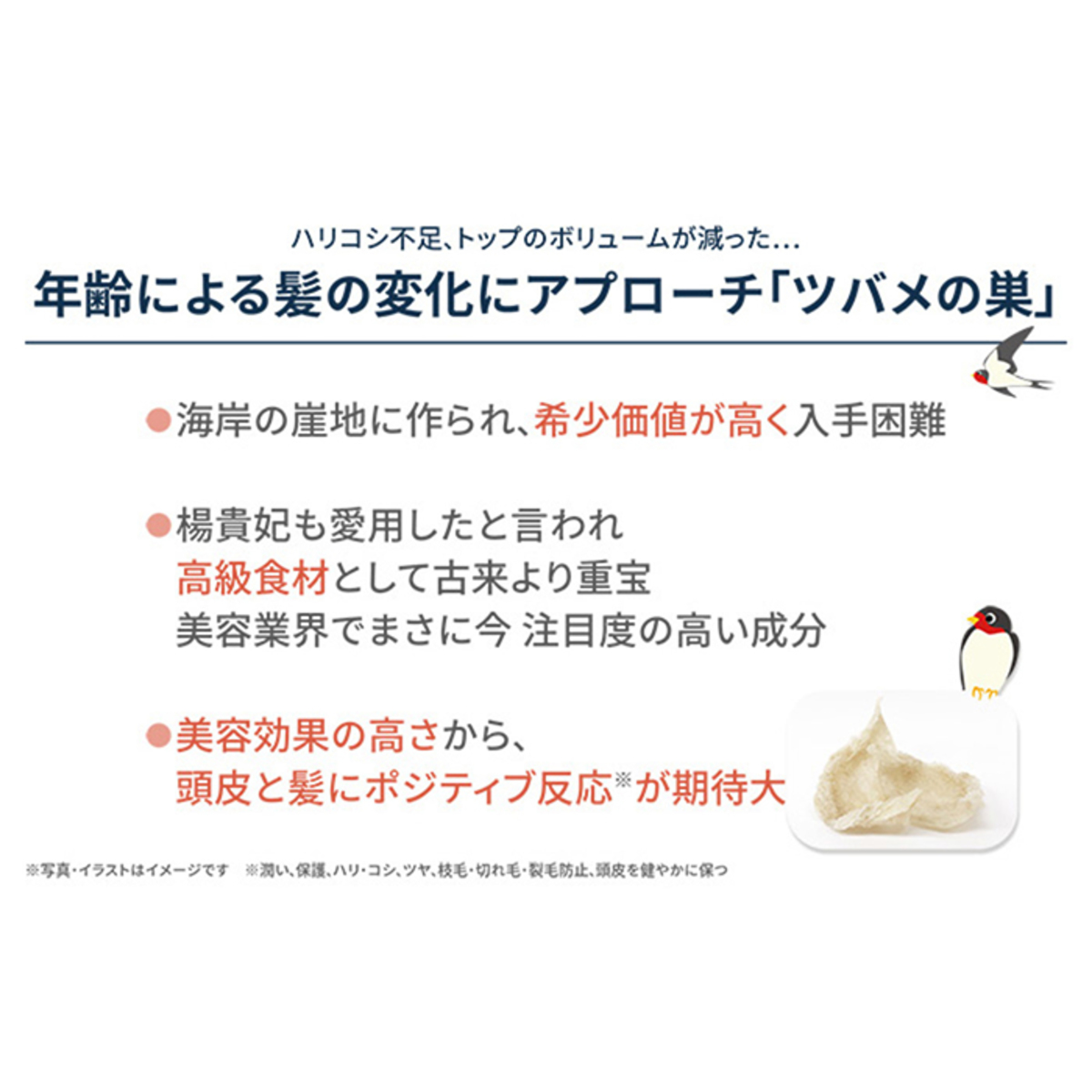 エスプリーナ vi-BIO シャンプー&トリートメントセット ヴィブリアン