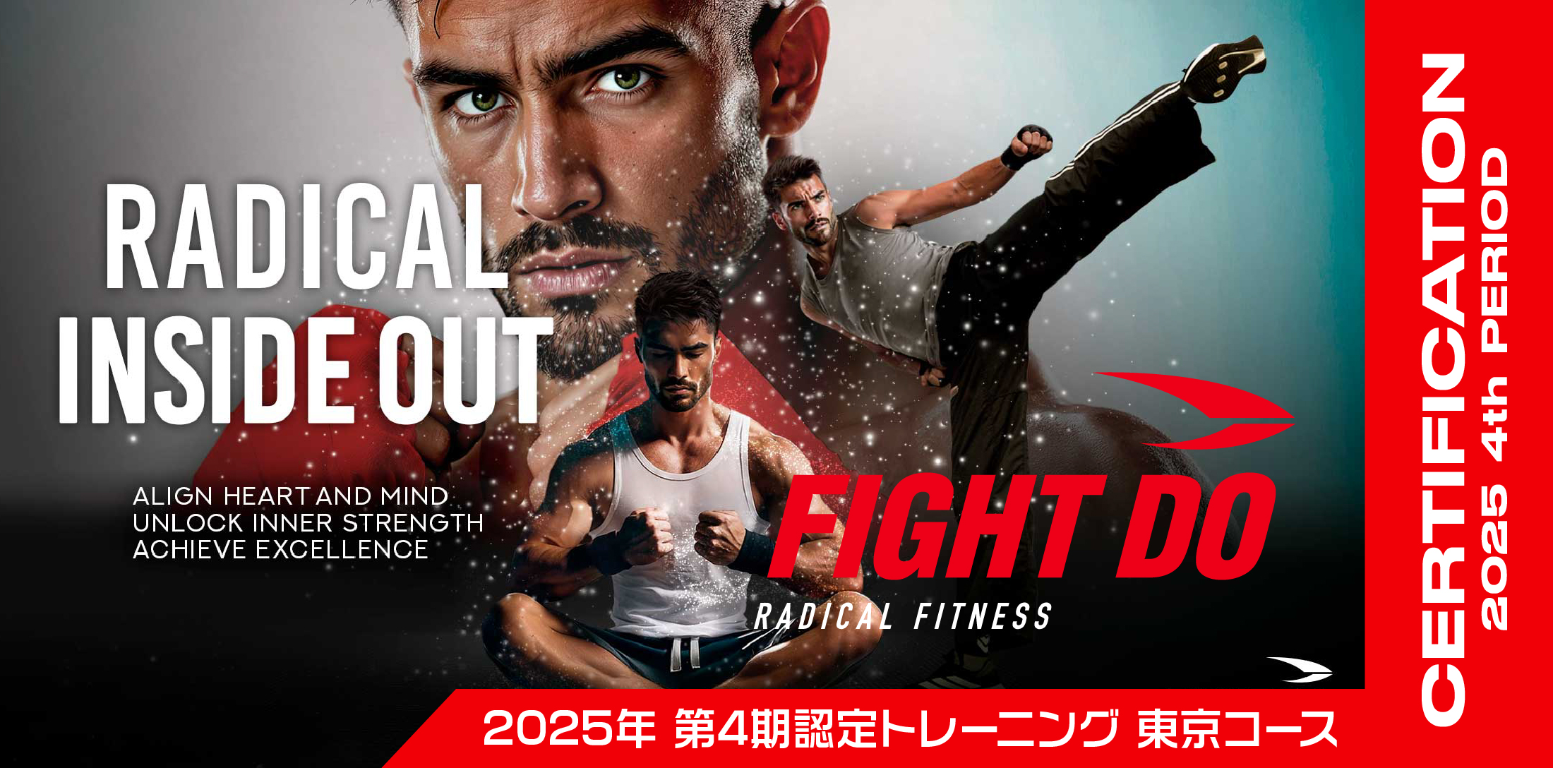 ファイドゥ FIGHT DO №42〜44 CD&DVD ラディカルフィットネス