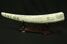 鯨・一角・海象・象牙の買取について - 買取のラフテル