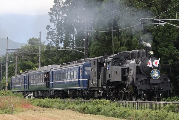 4種類集めるとSL大樹アクリルスタンドが！ 東武鉄道、SL・DL大樹記念