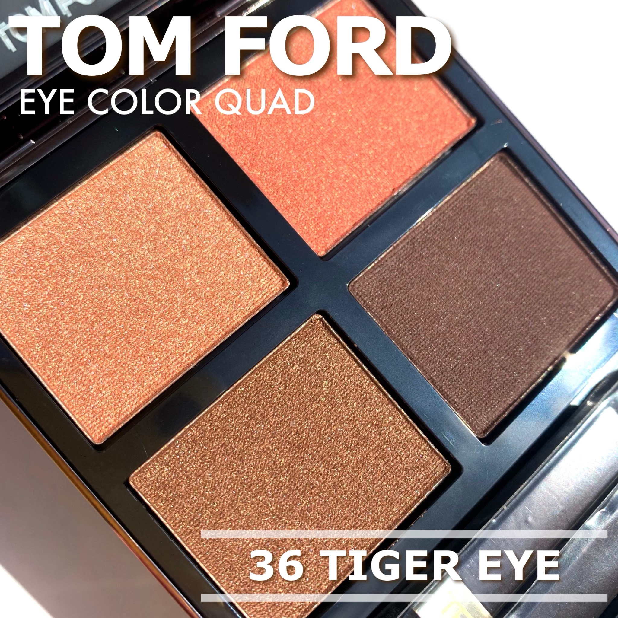 THEツヤ感】TOM FORDの「アイ カラー クォード」で褒められEYE | RAXY