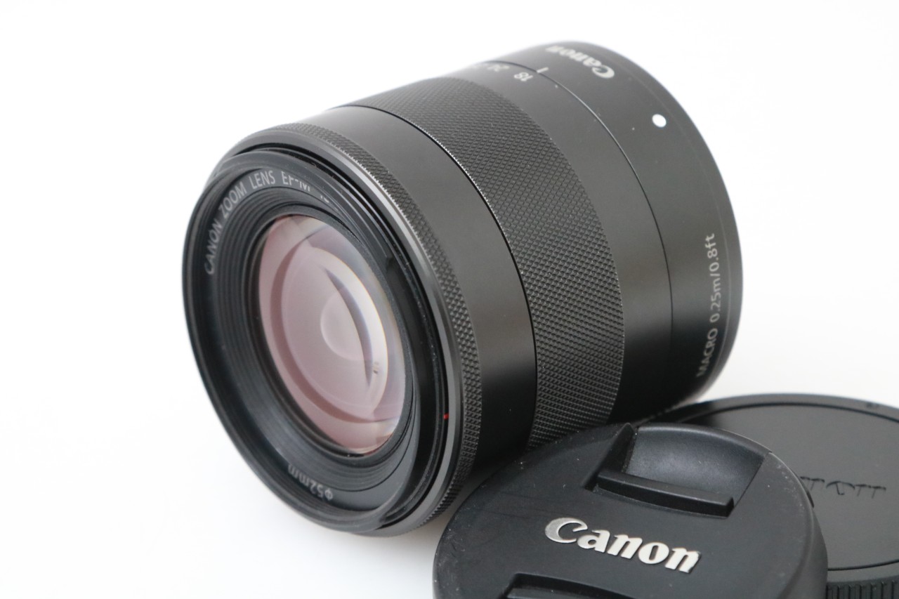 Canon純正 100-300mm 標準レンズ 美品 a4194キヤノン、フラッグシップ