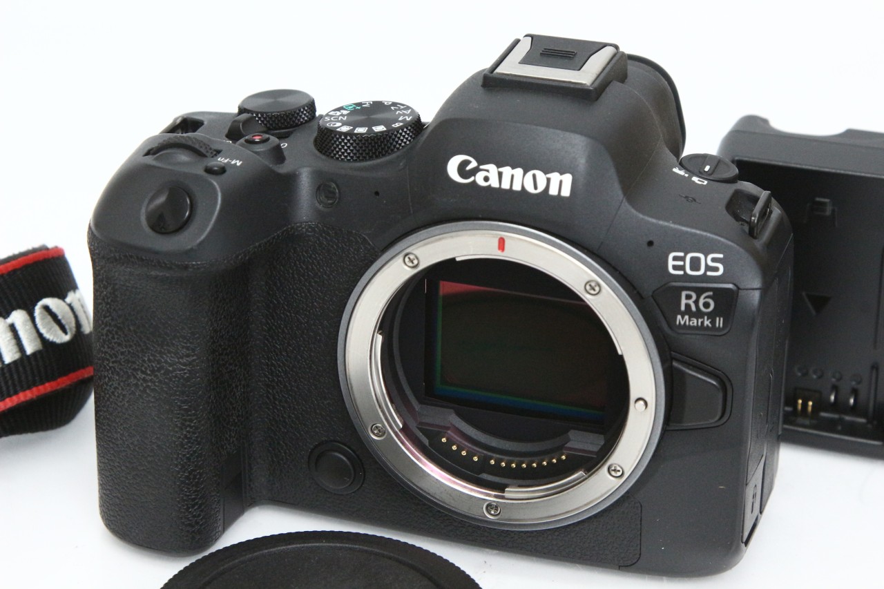 EOS R6 Mark II ボディ（純正予備バッテリー付属） CA01-R4341-3Y4