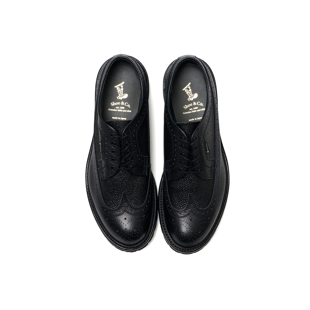 Wing-Tip GTX_Black – REGAL Shoe & Co.