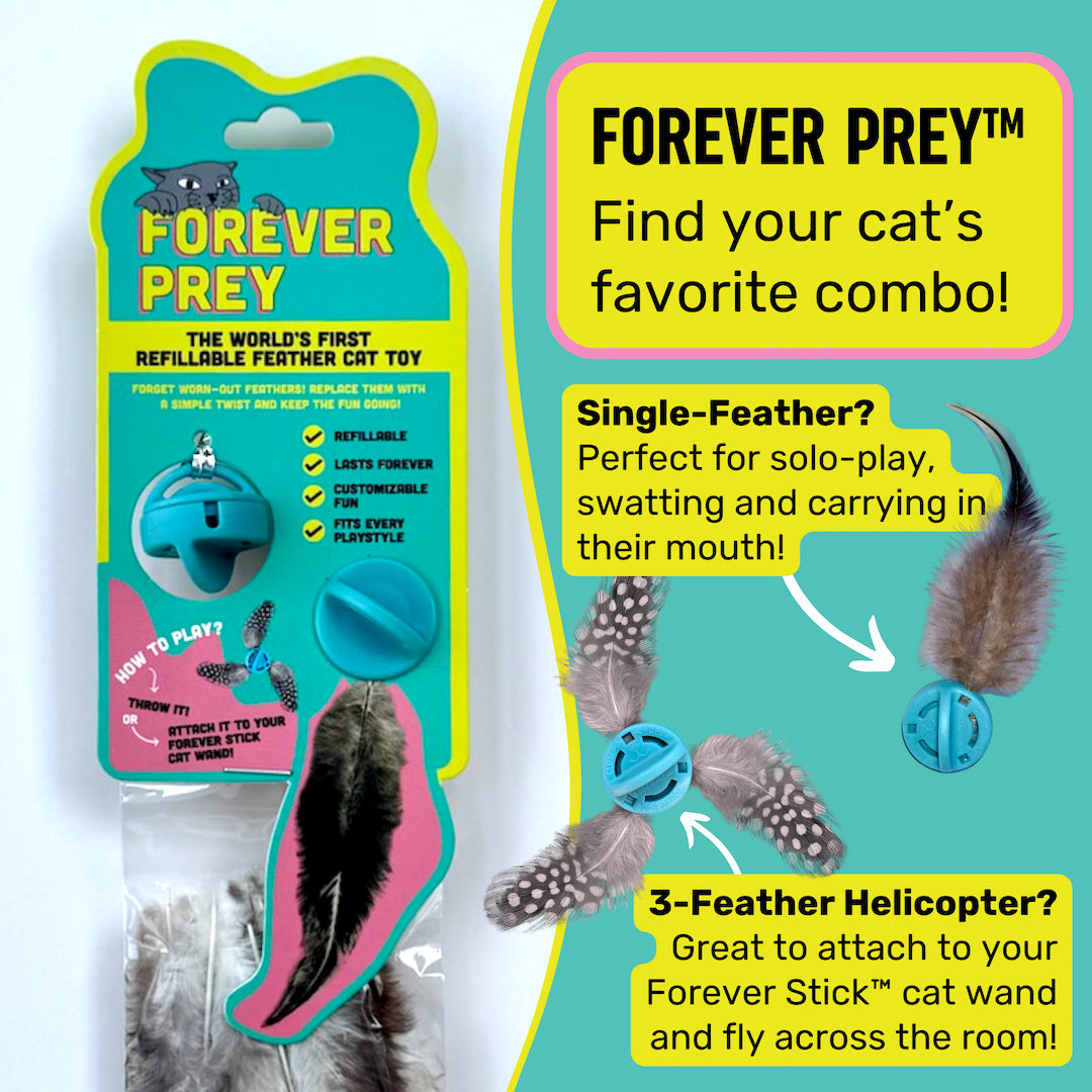 Forever Prey™ - The World's First Refillable Feather Toy – Repounce