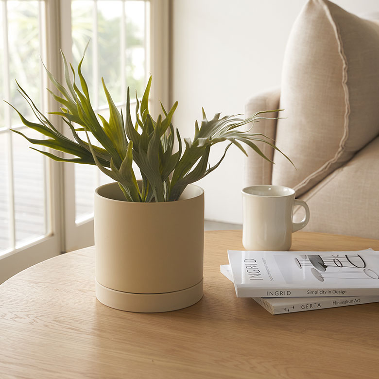 植木鉢 陶器 マット 5号鉢 受皿 底穴あり 中型 Mサイズ 約 W 15cm D