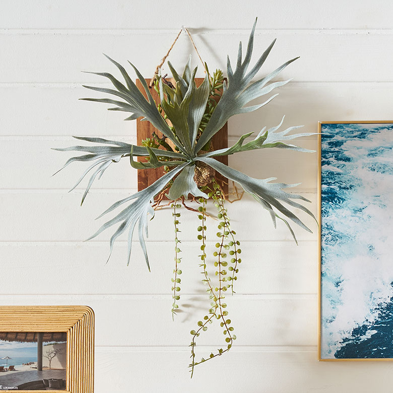 フェイクグリーン ウォールハンギング ビカクシダ アカシア 木製