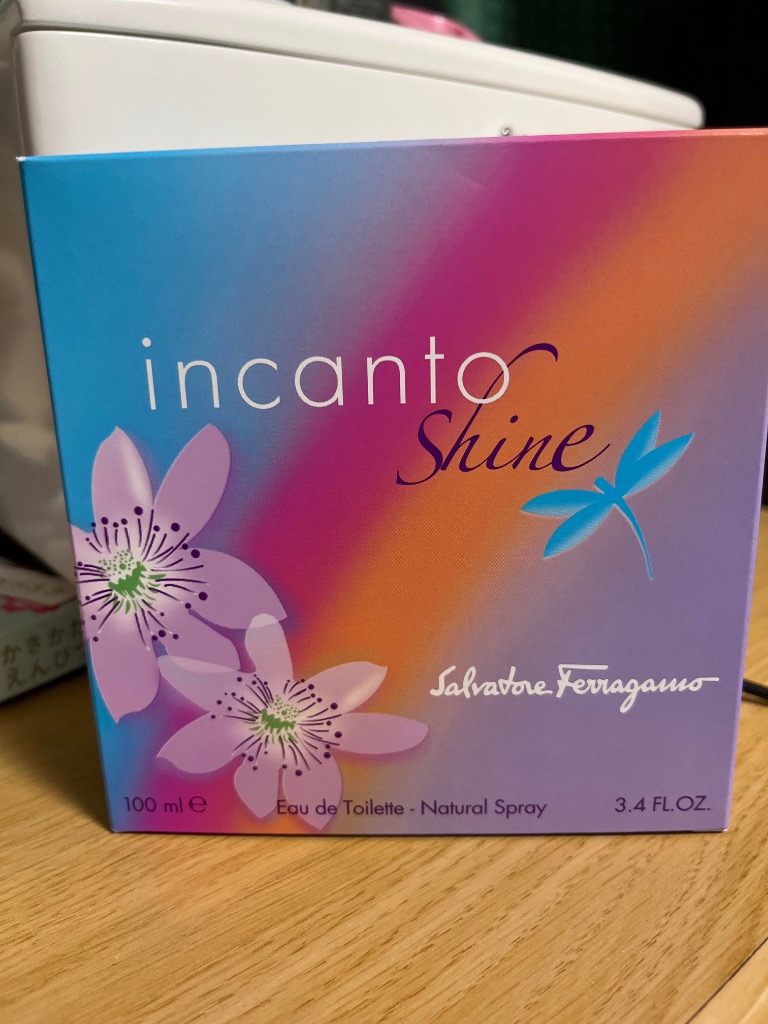 FERRAGAMO（フェラガモ） 並行輸入品 サルヴァトーレ インカント