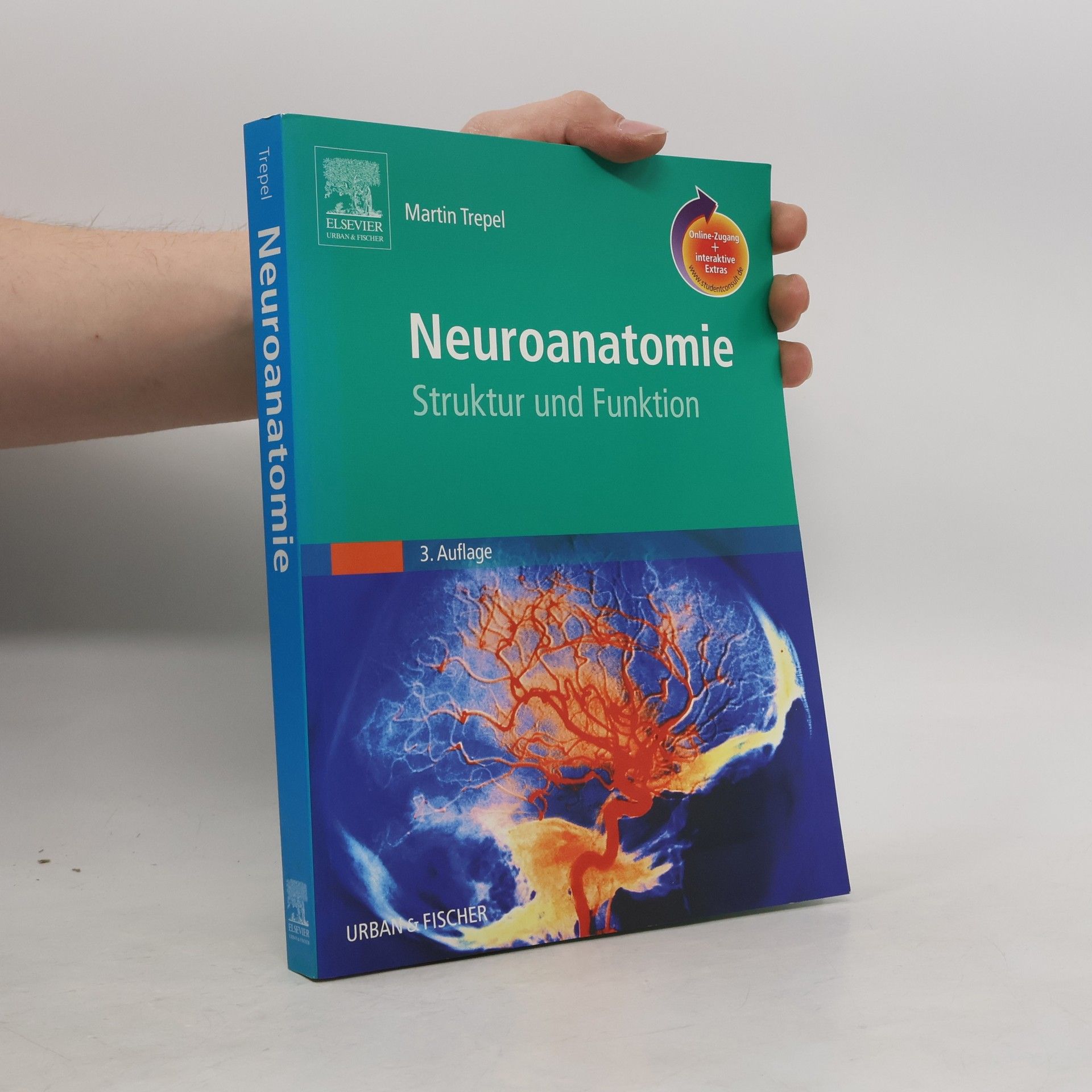 Architektur 1900-1929 in Deutschland - Walter Müller-Wulckow