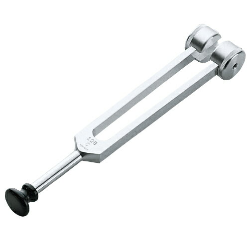 楽天市場】ニチオン ニチオン 音叉 アルミC調 脳外科用128HzNCNN309