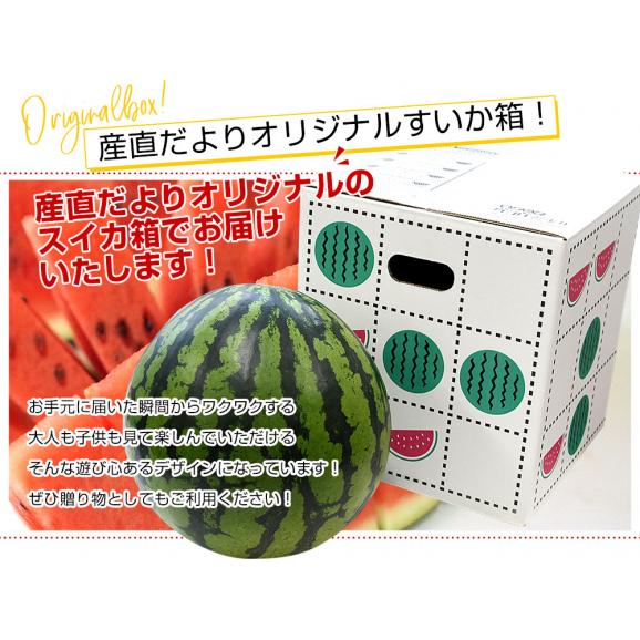 スイカ大サイズ！額付き作品 title「一陽来福ニャンコ」 スイカ大