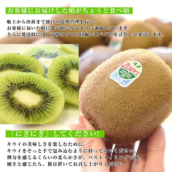 ニュージーランド産 ゼスプリ・グリーンキウイ 「ジャンボサイズ」 約