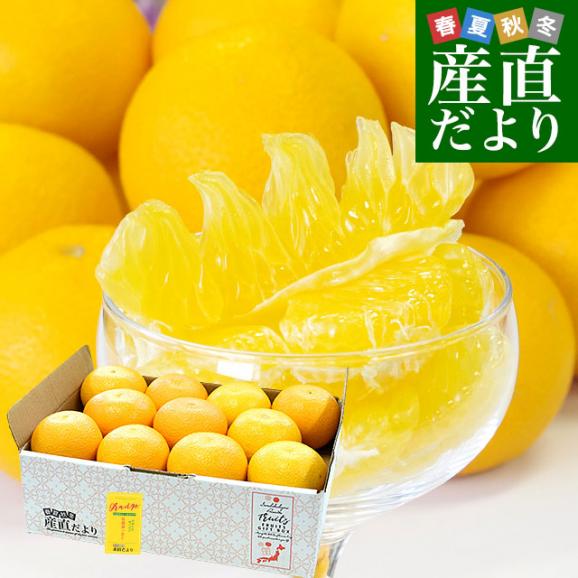 広島県産 JA三原せとだ 「瀬戸田の広島はっさく（八朔）」 優品以上 約