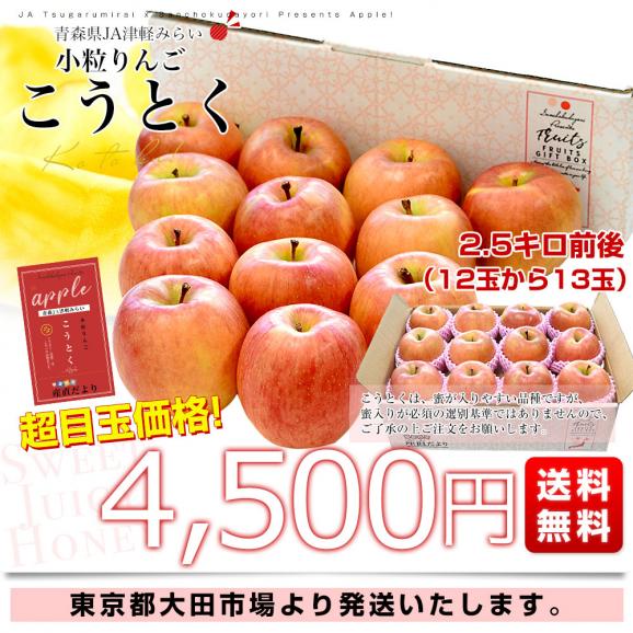 青森産 JA津軽みらい こうとく（高徳） 2.5キロ前後 (12玉から13玉