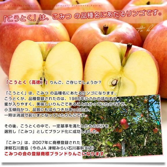 青森産 JA津軽みらい こうとく（高徳） 2.5キロ前後 (12玉から13玉