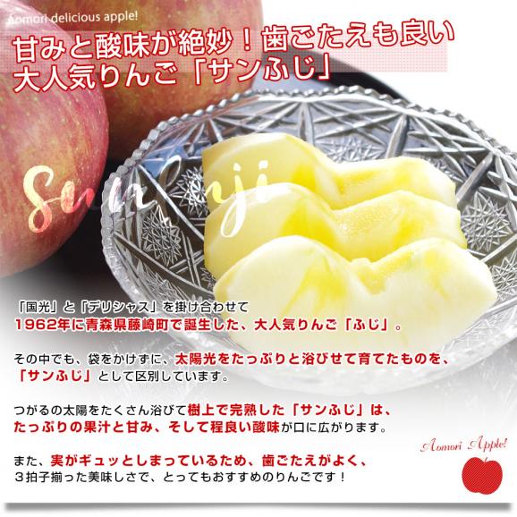 青森県産 JAつがる弘前 りんご詰め合わせ サンふじ＆王林 約3キロ 8玉
