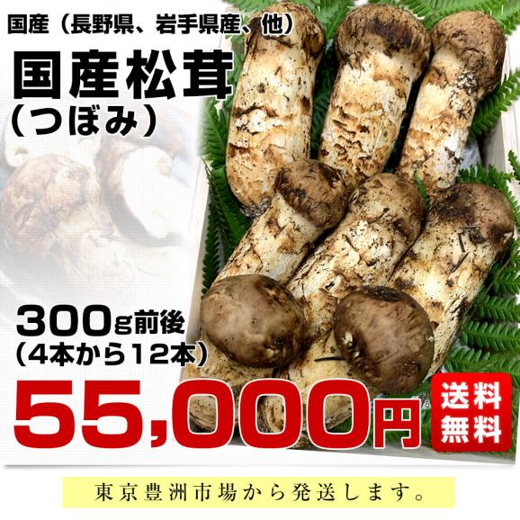 松茸 北海道 300g ⑤ 国産 国産まつたけ 300g | すべての商品 | ますちー