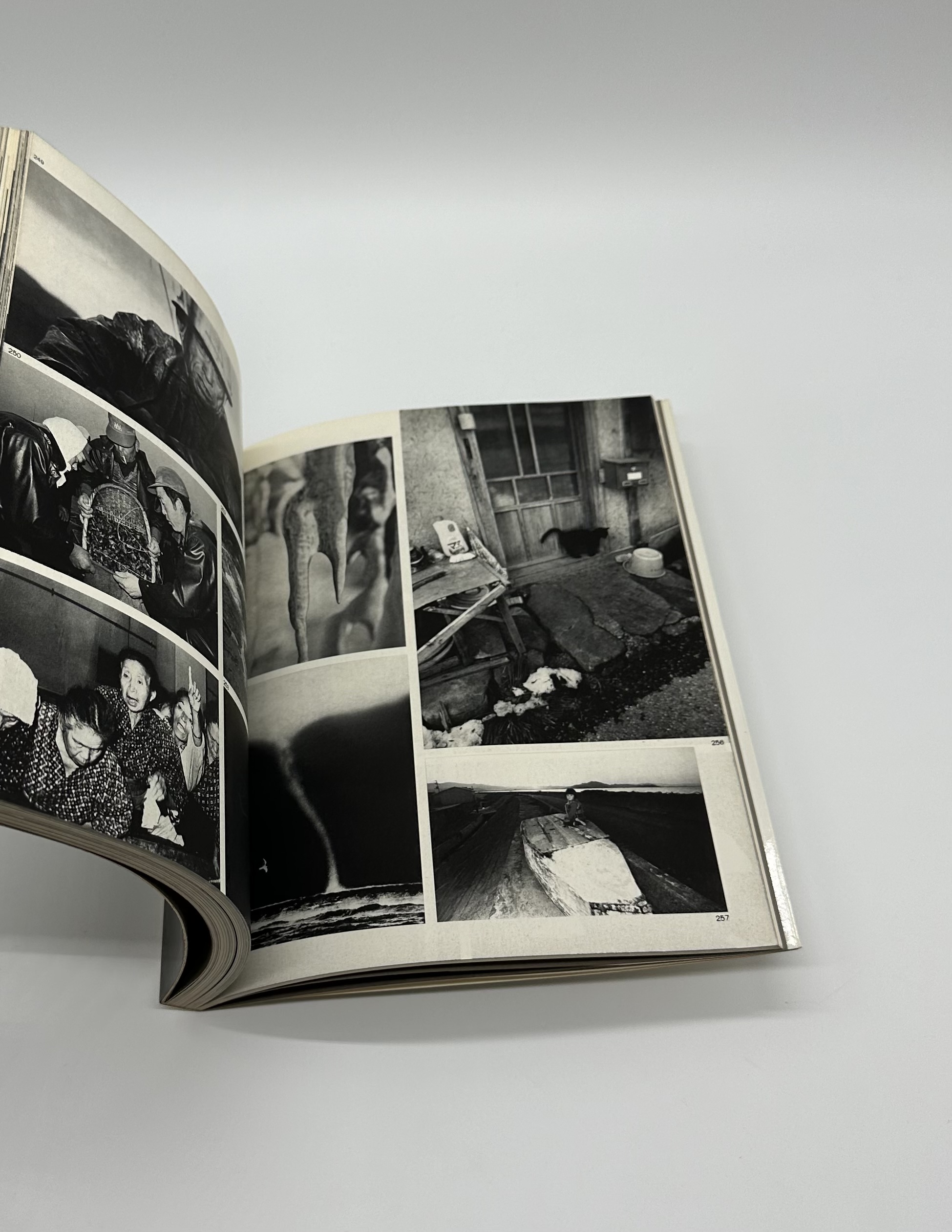 写真集 視点 第2回公募作品 - りーちあーと