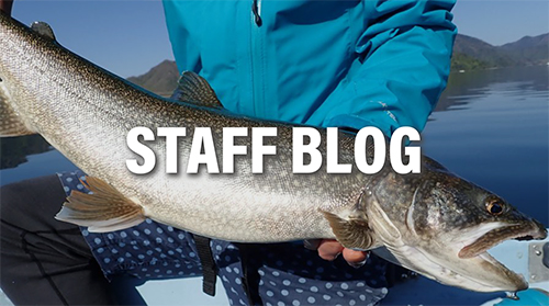 RealCrescent RC-67 (Bait-Model) | リップルフィッシャーリップル