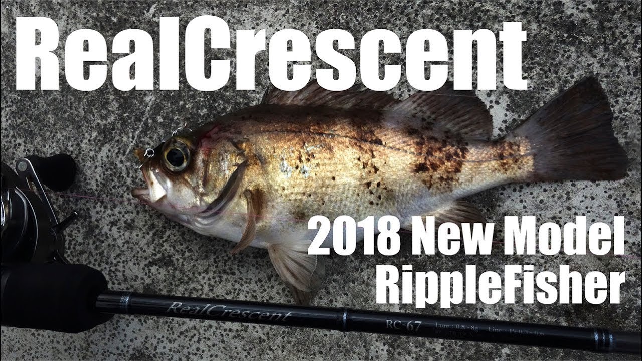 RealCrescent RC-55 | リップルフィッシャーリップルフィッシャー
