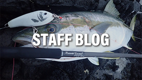 RunnerExceed 110H Nano Plug | リップルフィッシャーリップルフィッシャー