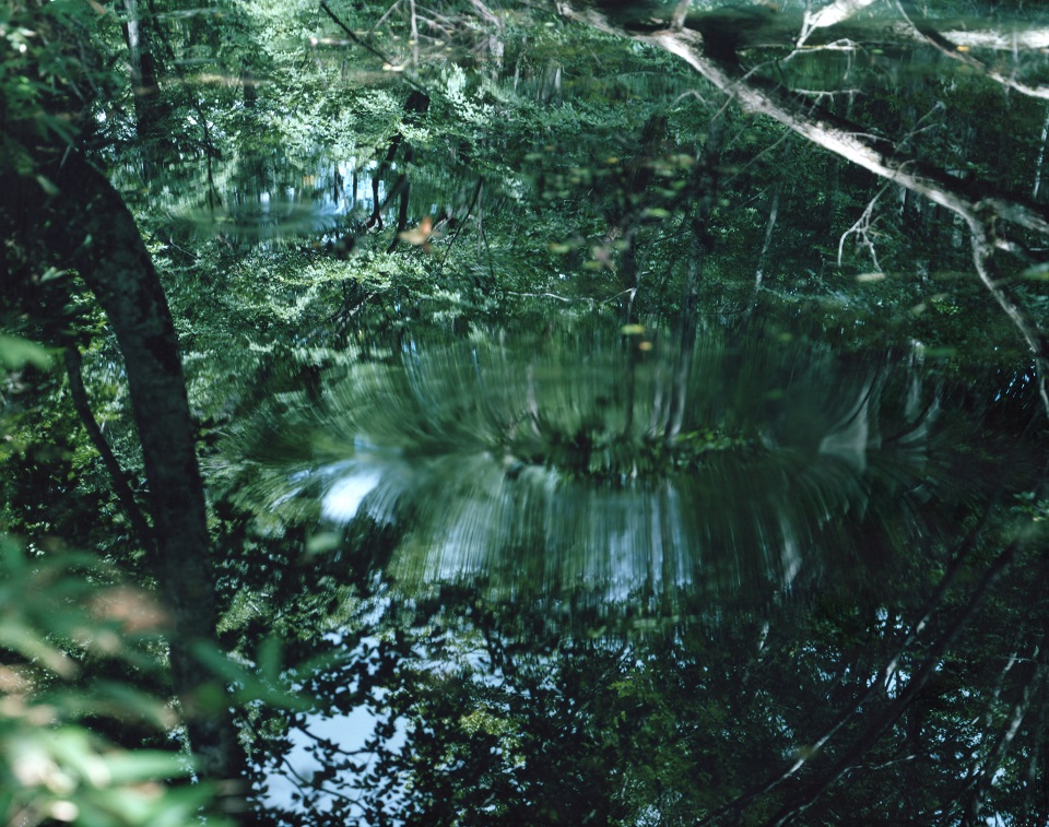 水鏡 | 鈴木理策 | Risaku Suzuki | 鈴木理策 | Risaku Suzuki