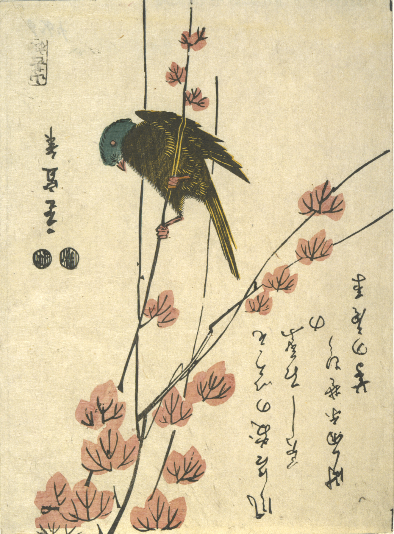 Collection | RISD Museum