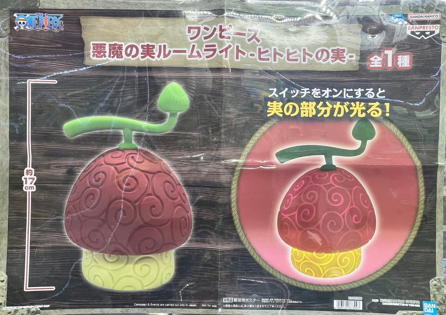 □トレジャーコーナー入荷情報です！◇ワンピース 悪魔の実ルーム