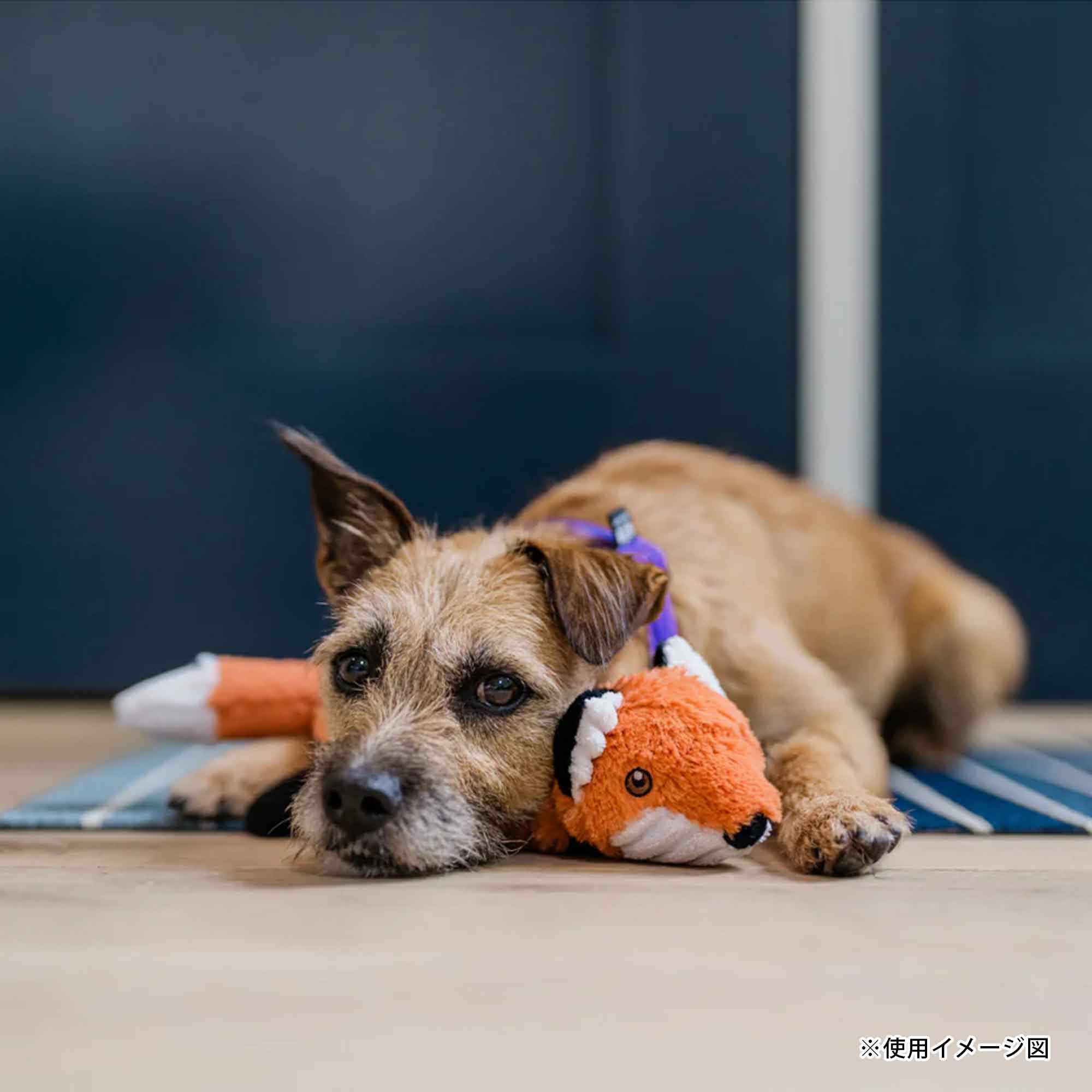 プレイ 犬用おもちゃ フォレストフレンズ – ルークランオンライン