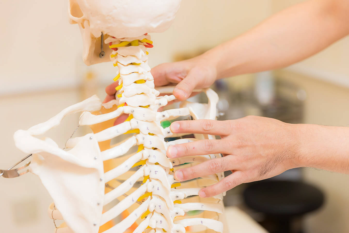 ジャン・ピエール・バラルD.O. による胸郭内臓セミナーへの参加