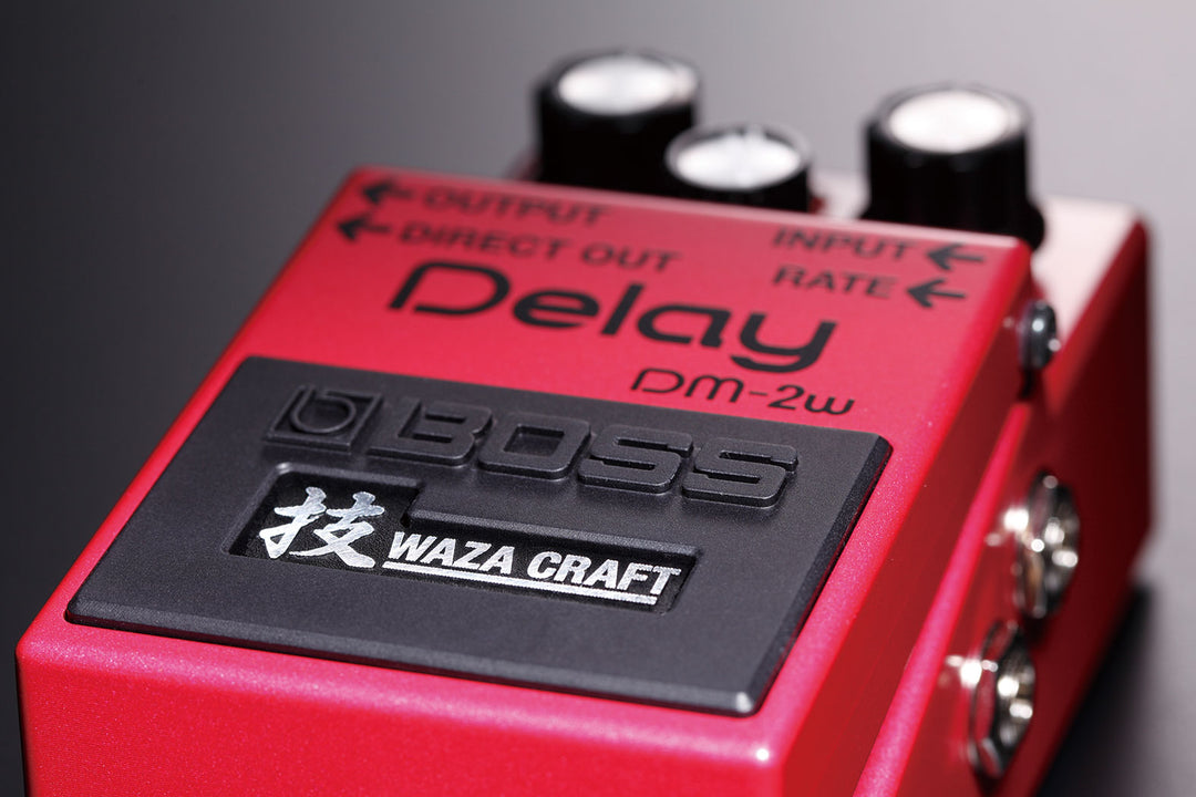 BOSS DM-2W Waza Craft Bucket Brigade Analog Delay Pedal – Roland