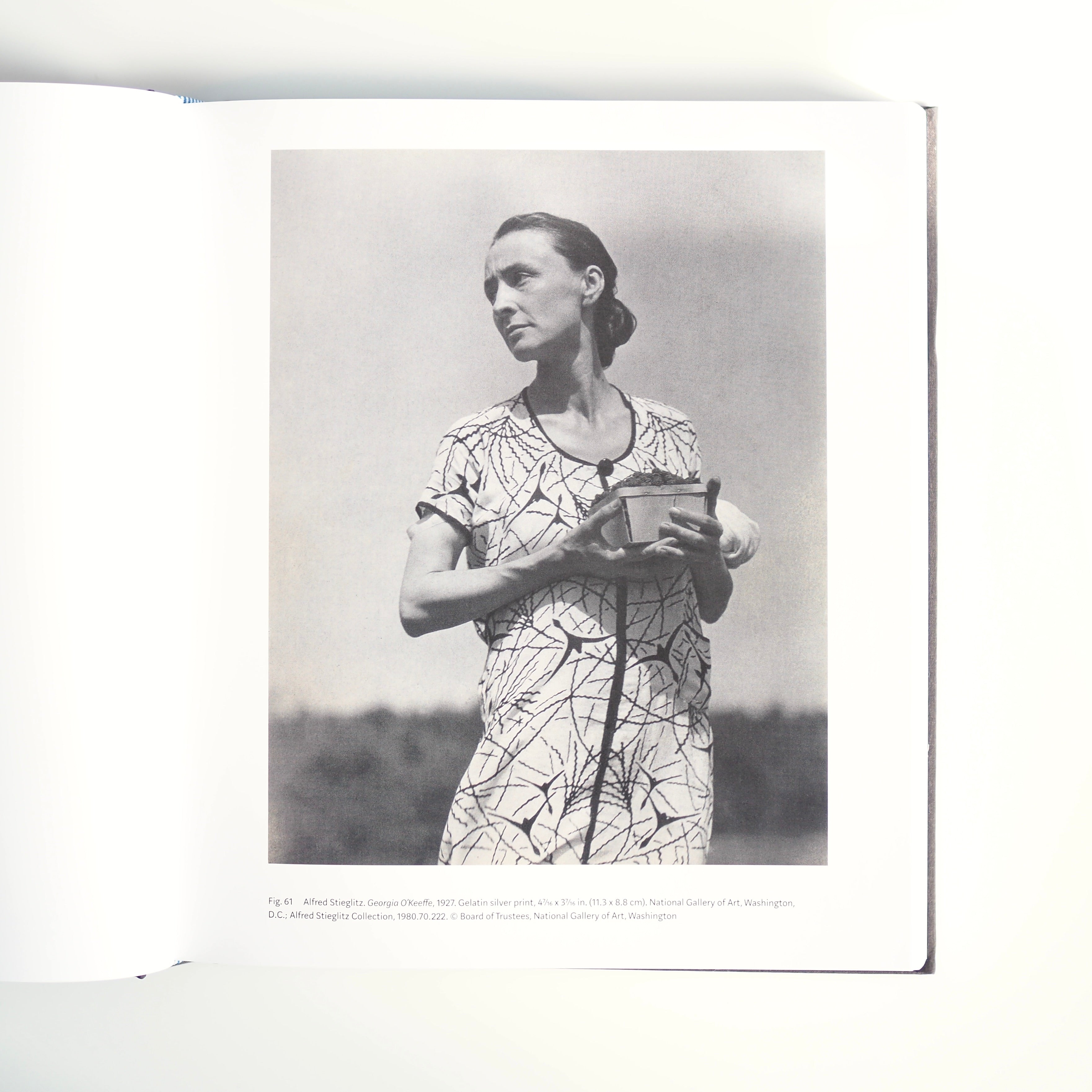 GEORGIA O'KEEFFE : LIVING MODERN [used]