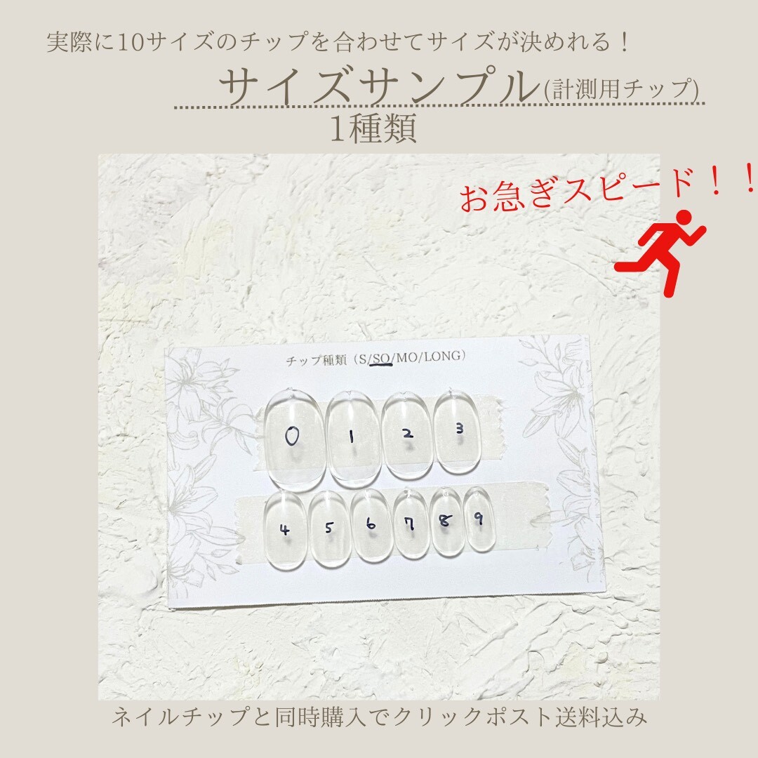 サイズサンプルチップ1種類【お急ぎ】 - ネイルチップ通販Ruru