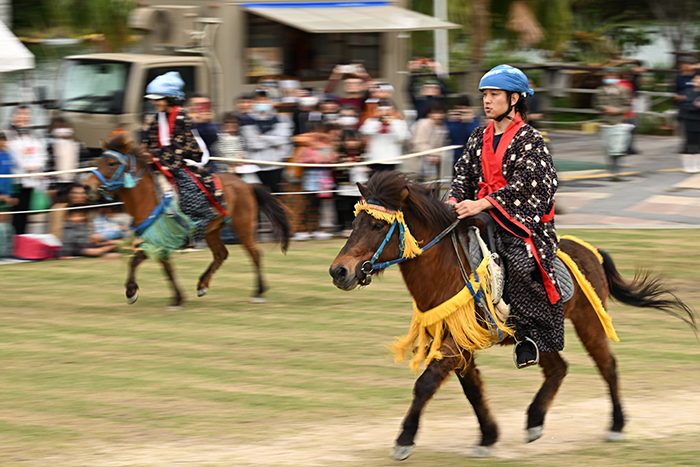 社告＞第20回琉球競馬ンマハラシー 1月26日（日） 沖縄こどもの国