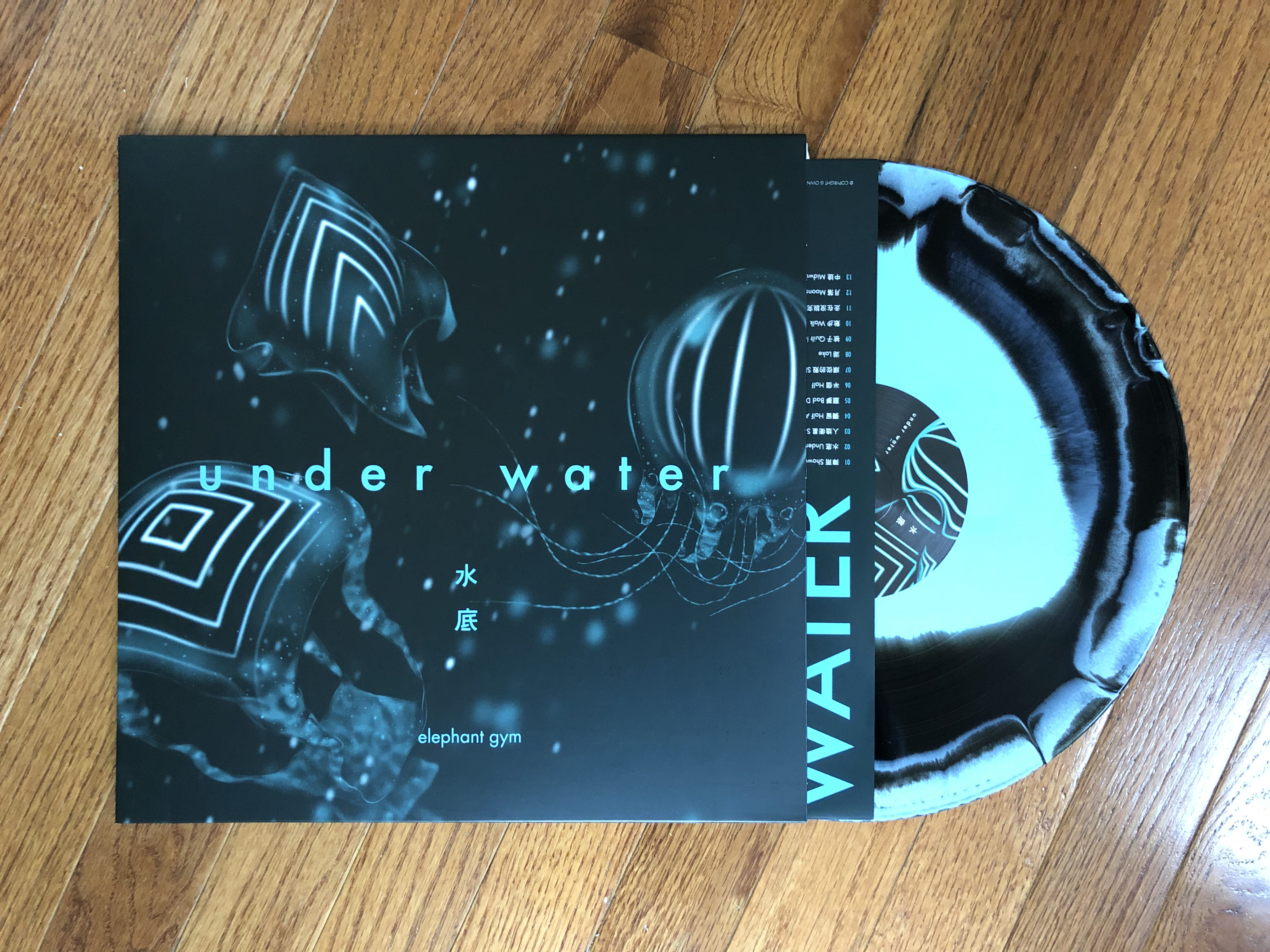 Topshelf Records - Elephant Gym - Underwater