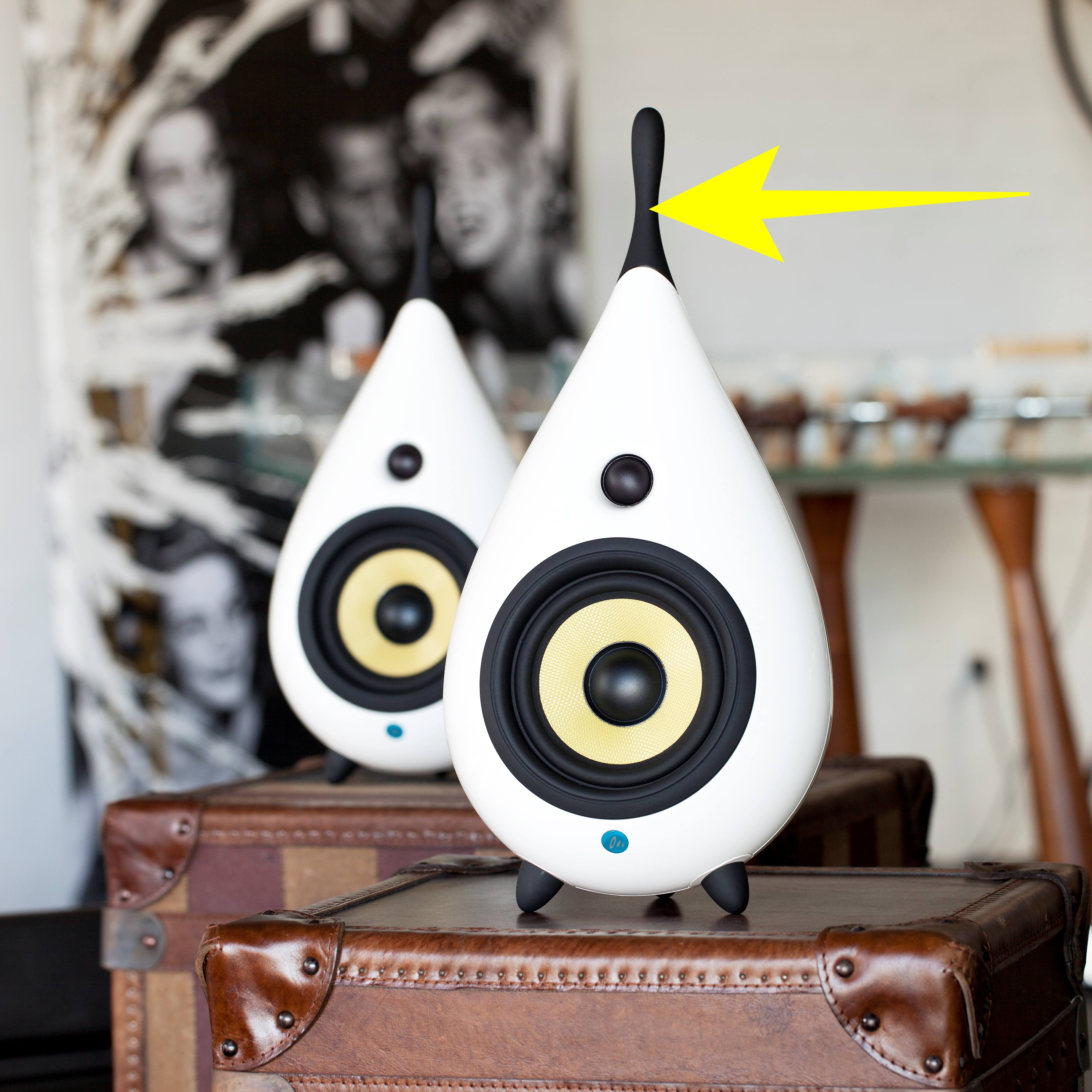 Scandyna_The_Drop_-_top.jpg?v=