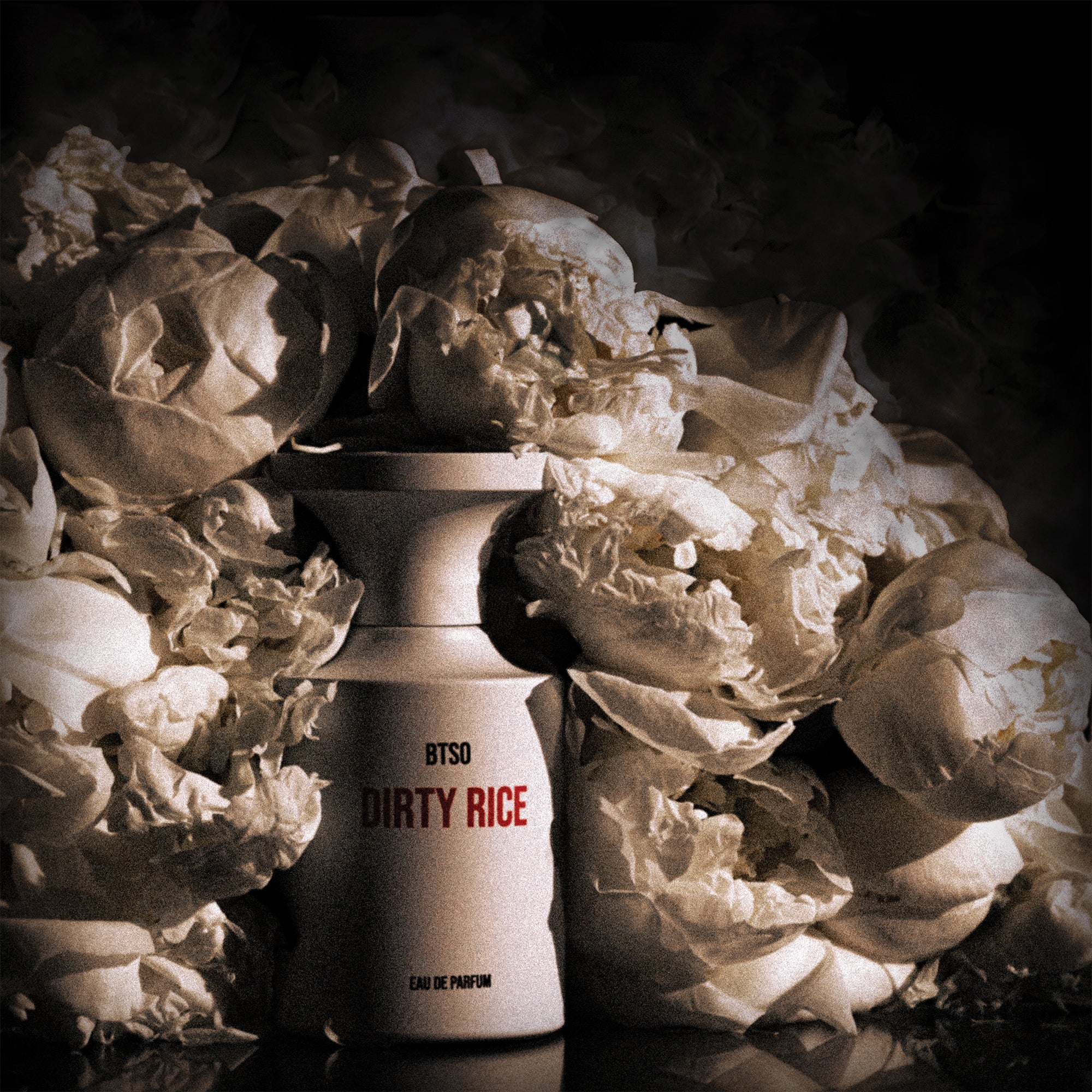 DIRTY RICE 50ML By Borntostandout| Niche Perfume | Scentitude