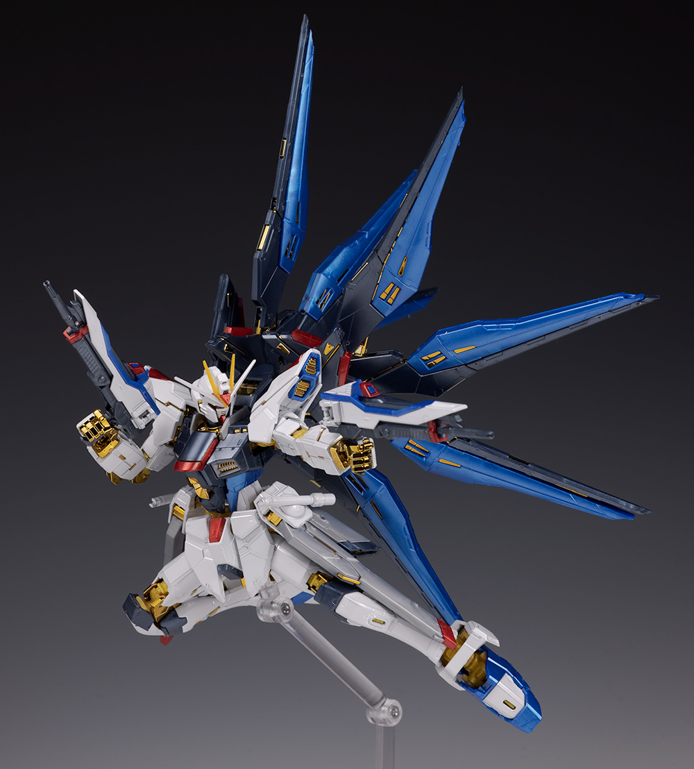 RG ストライクフリーダムガンダム[チタニウムフィニッシュ] レビュー