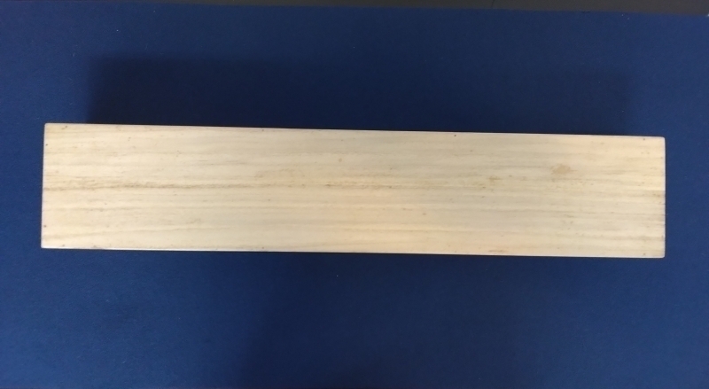 土佐光貞（隠し落款）絹本 掛軸 表装交換済|サムライオークション