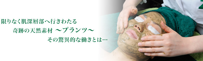 2Bバイオトリートメント｜東京・福岡・鹿児島でブラジリアンワックスや