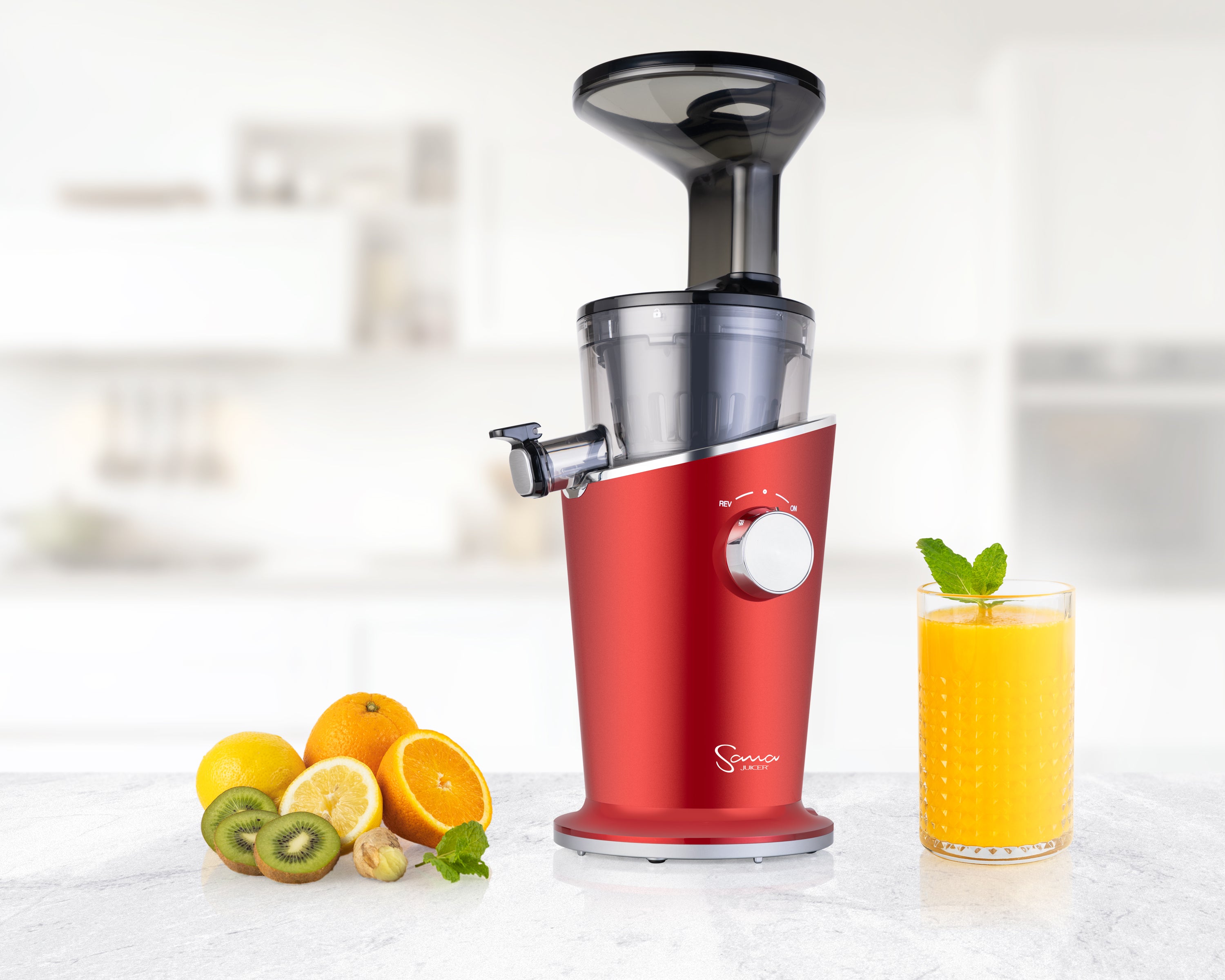 848 Easy Clean Juicer